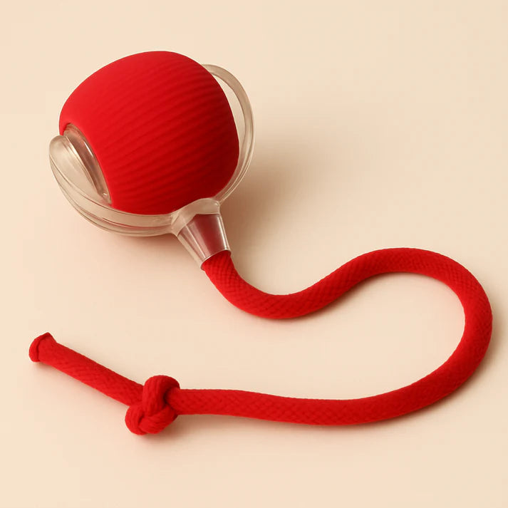 USB Şarjlı Hareket Edebilen Top Kedi Köpek Oyuncağı