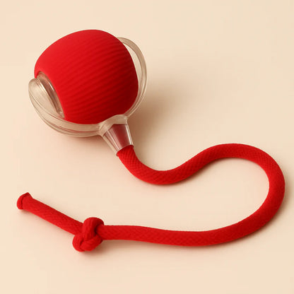 USB Şarjlı Hareket Edebilen Top Kedi Köpek Oyuncağı