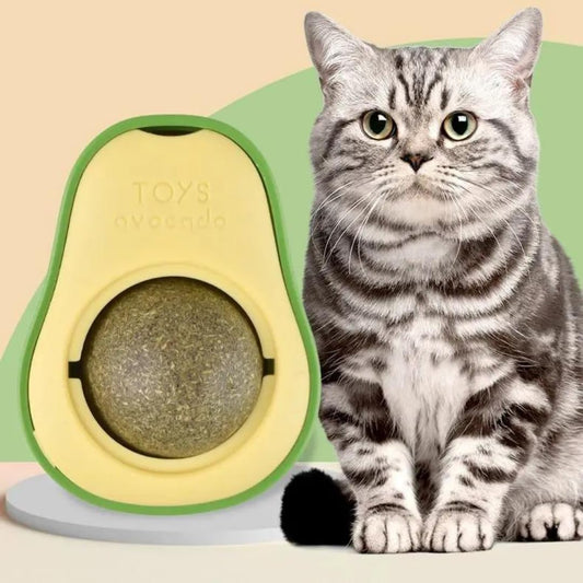 Catnip Kedi Çimi Topu Oyuncağı