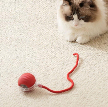 USB Şarjlı Hareket Edebilen Top Kedi Köpek Oyuncağı