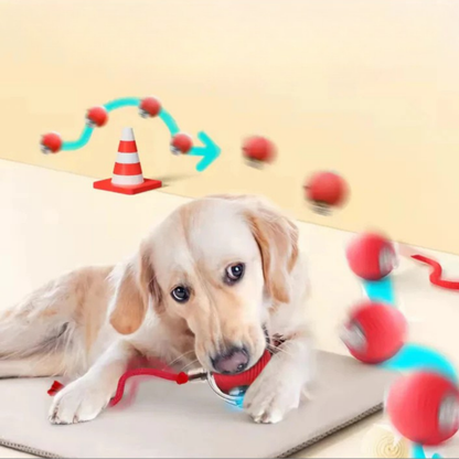 USB Şarjlı Hareket Edebilen Top Kedi Köpek Oyuncağı