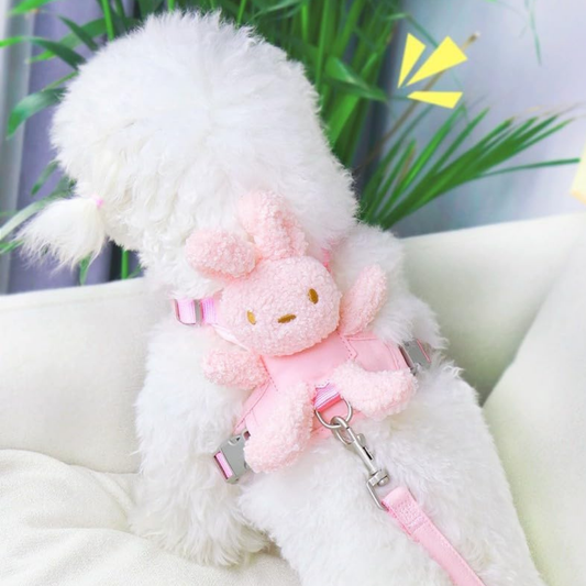 Evcil Hayvan Peluş Ayıcıklı Göğüs Gezdirme Tasması Set